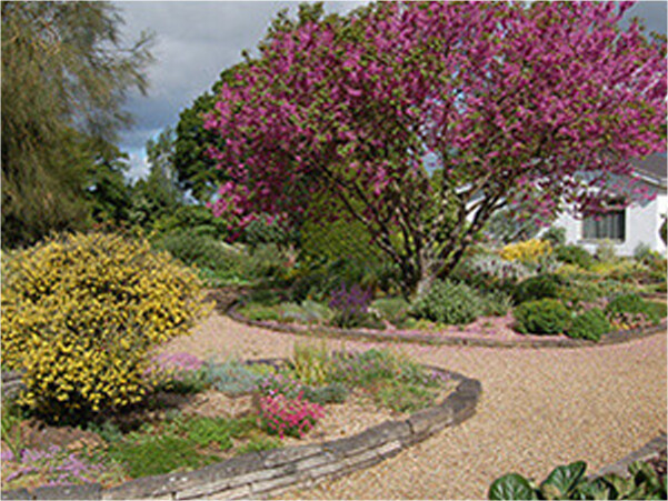 The Scree Garden