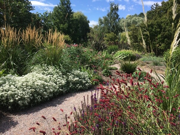 In the Reservoir Garden