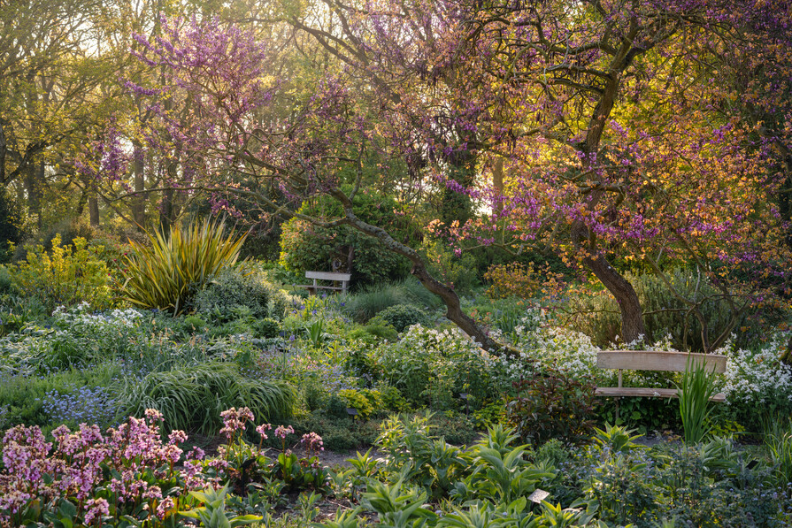 Reservoir Garden
