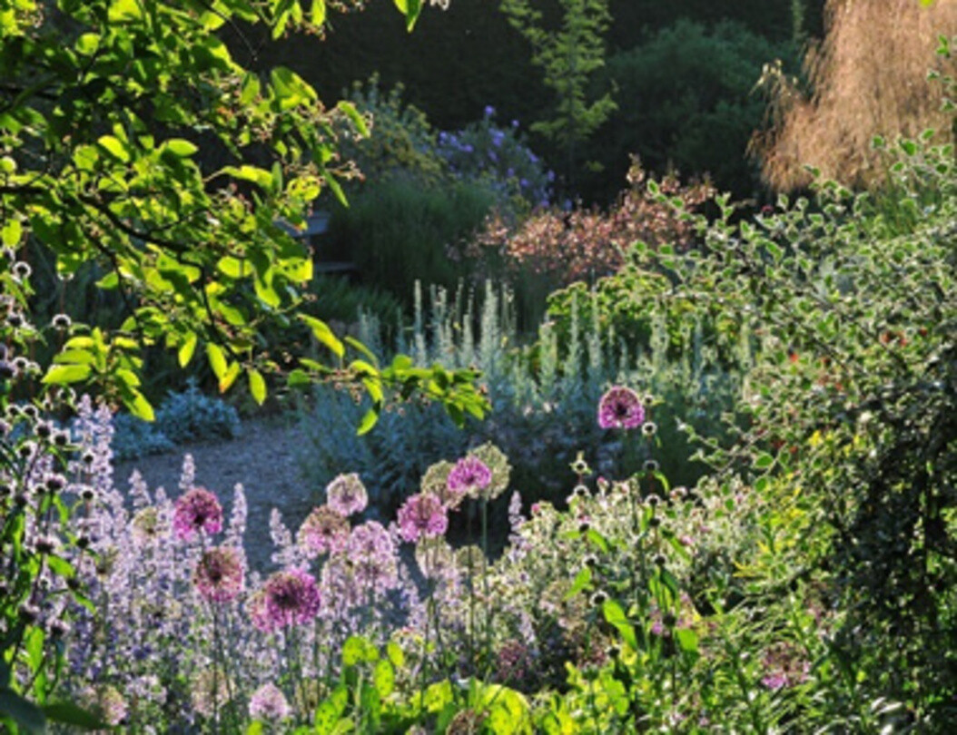 Beth Chatto's Gravel Garden