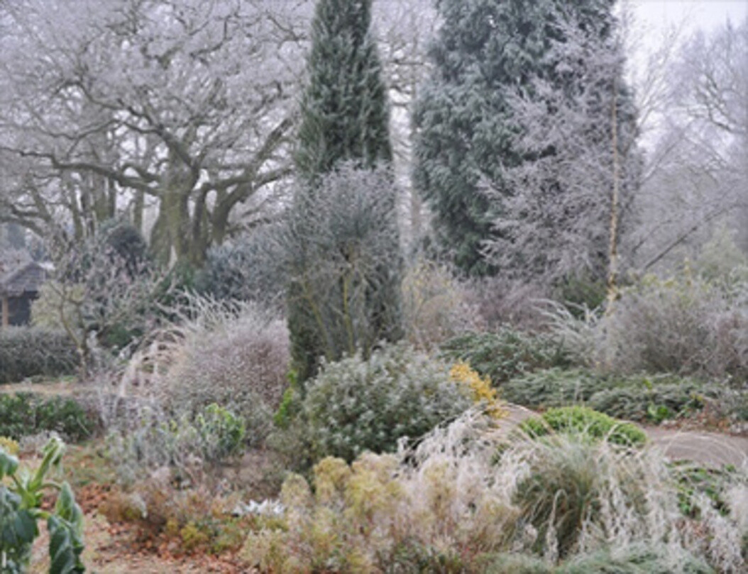Beth Chatto's Gravel Garden
