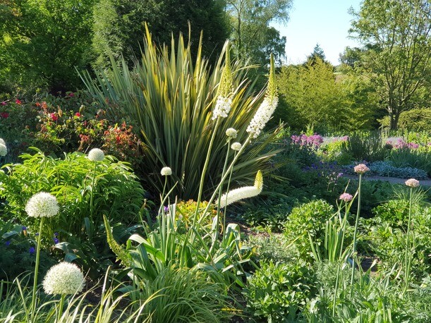 Our Gardens