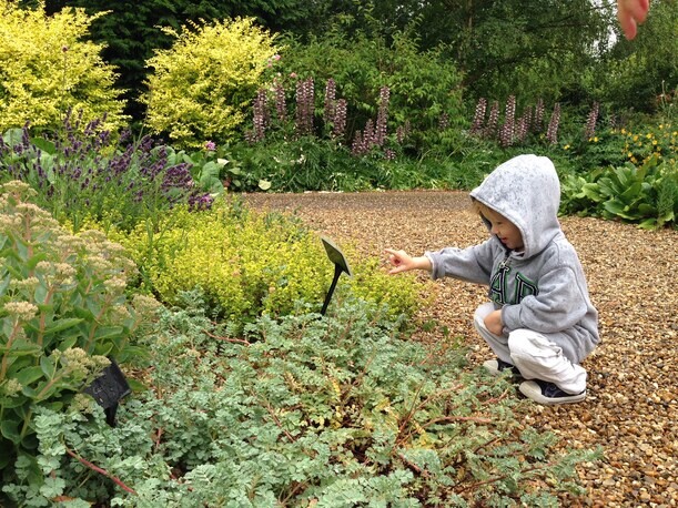 Horticultural Education